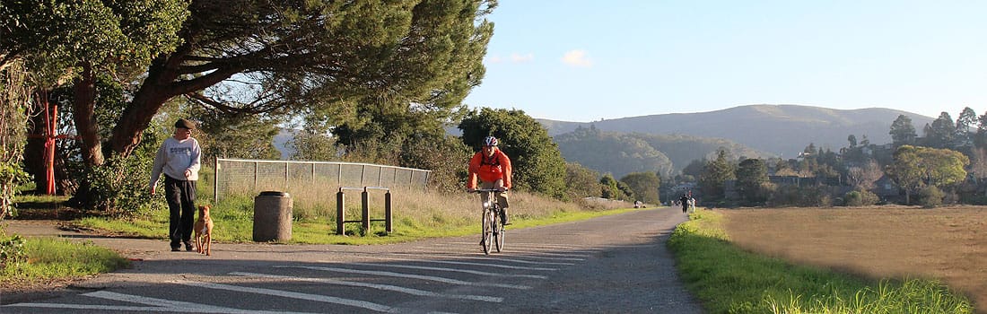 Photo of the bike path.